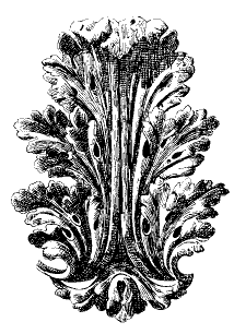 French Renaissance Acanthus