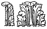 Grecian Acanthus